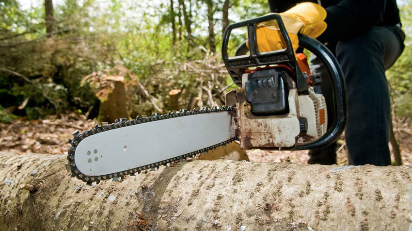 Tree Services 2 Stump & Tree Removal