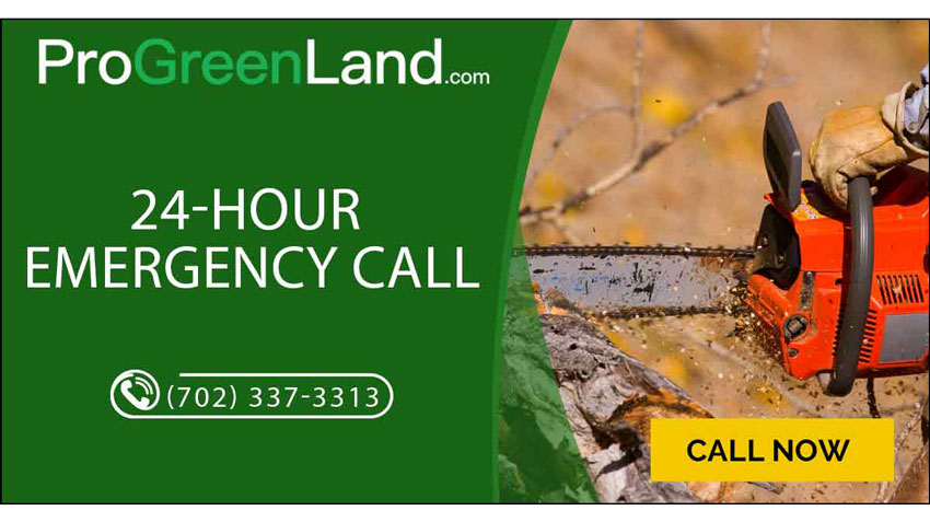 24 Hour Emergency Service This Fall
