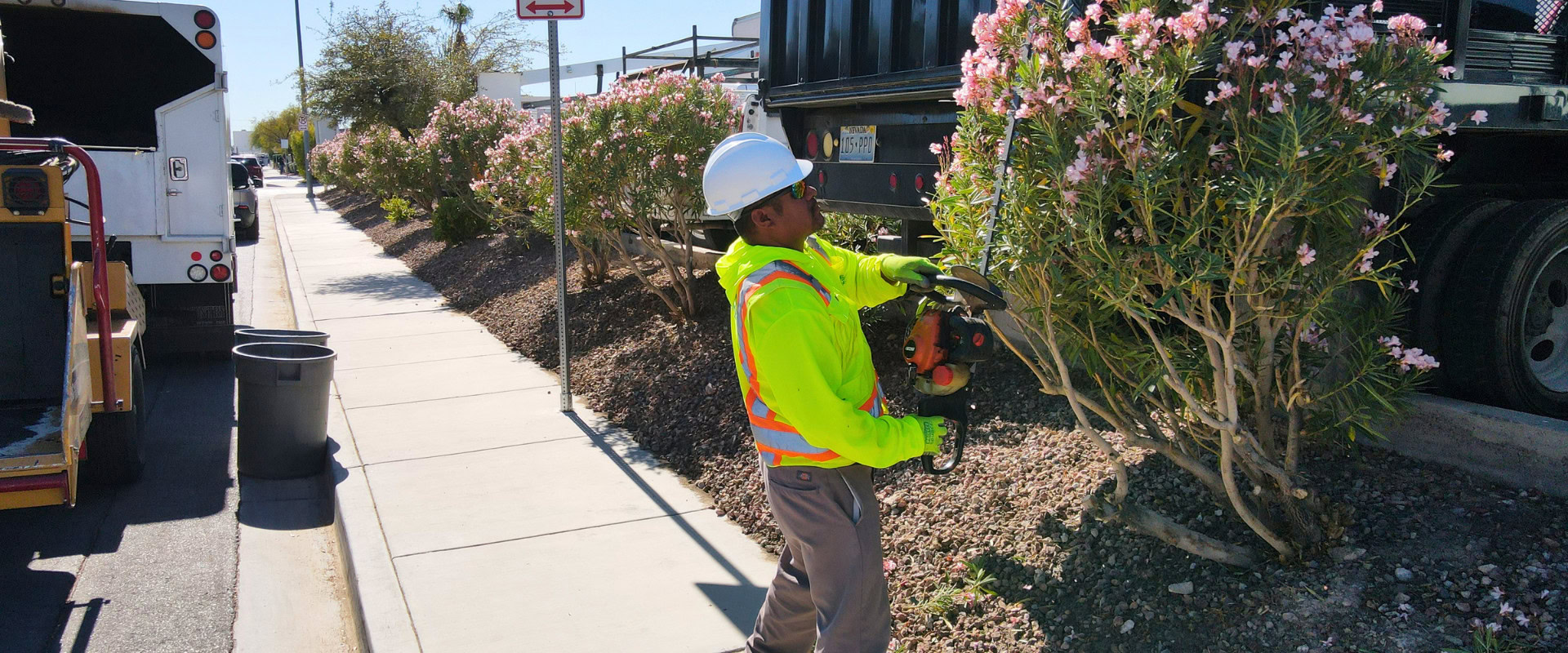 Commercial Landscape Design