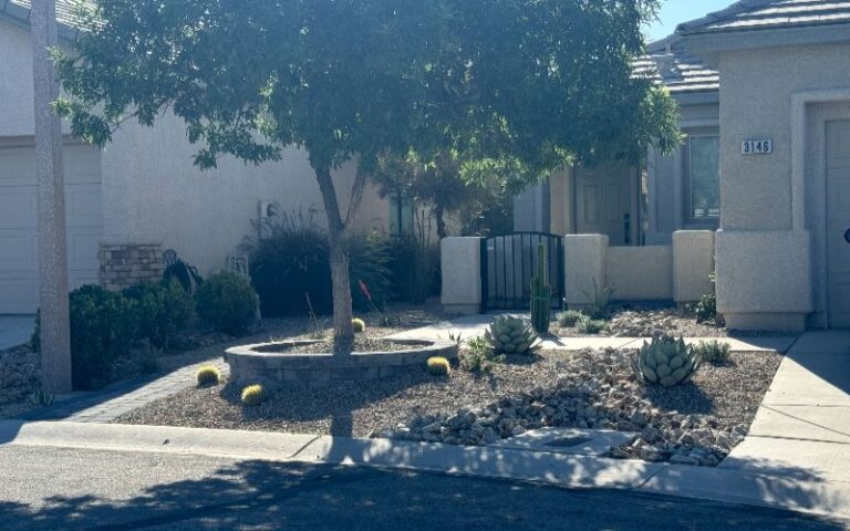 Completed Landscape For A Las Vegas Home