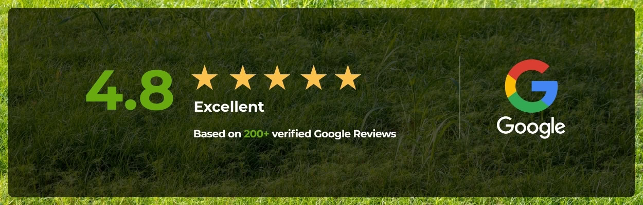 Google Reviews