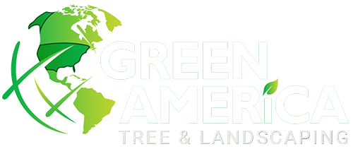 Green America logo