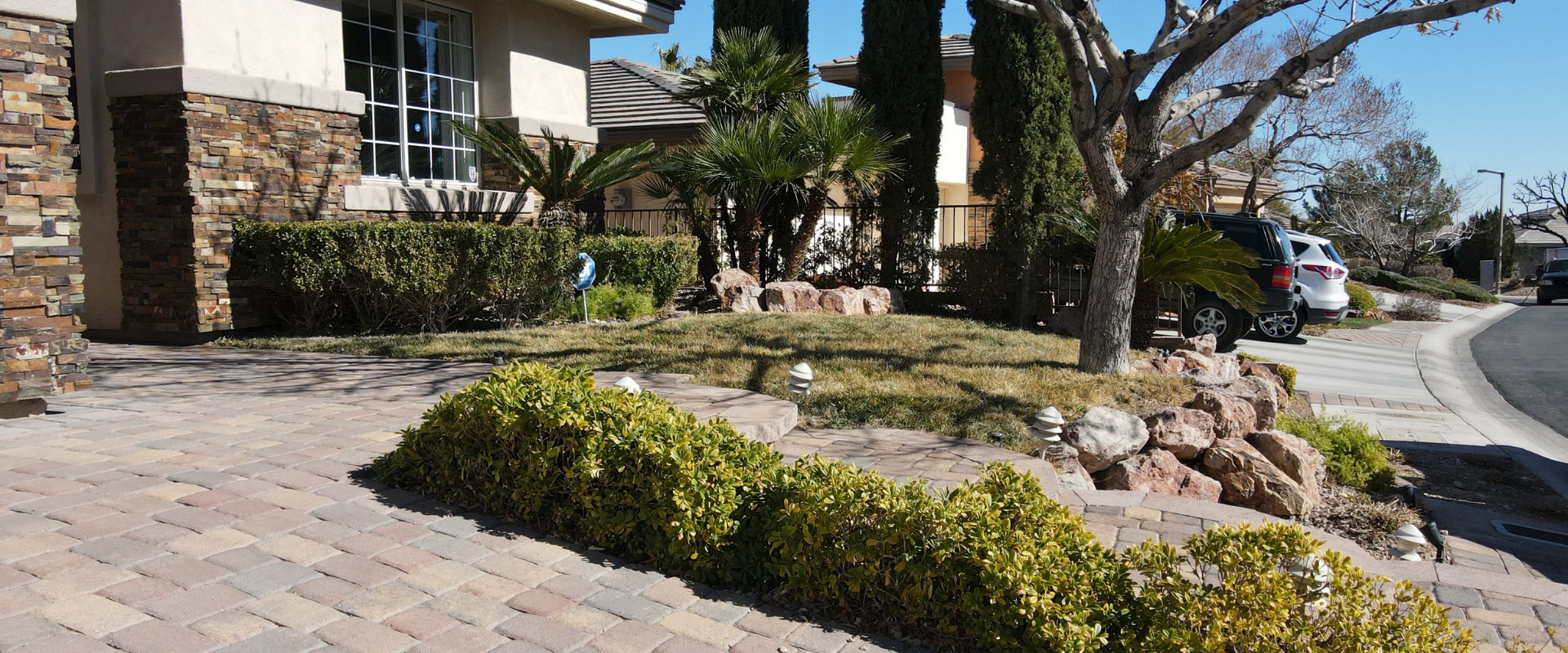One-Time Yard Clean Up Services