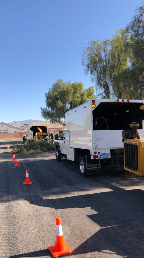 Tree Trimming &Amp; Pruning 1 Tree Trimming Las Vegas