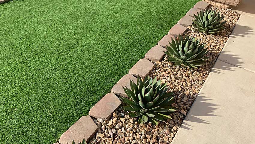 Landscaping With Cacti & Succulents