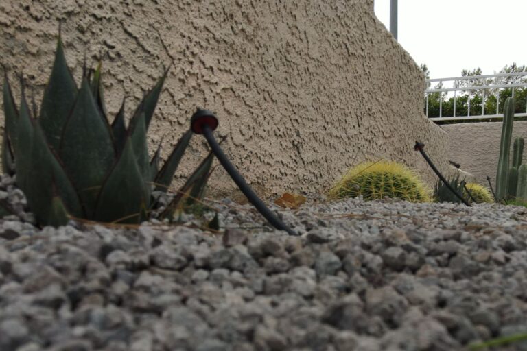 A Close Up Of A Drip Irrigation System Implemented In A Landscaped Yard.