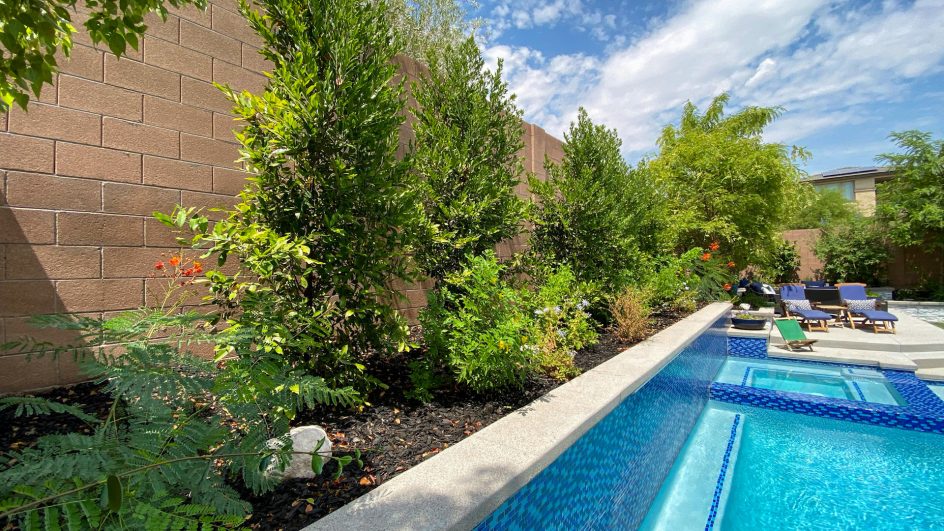 Landscaping Services