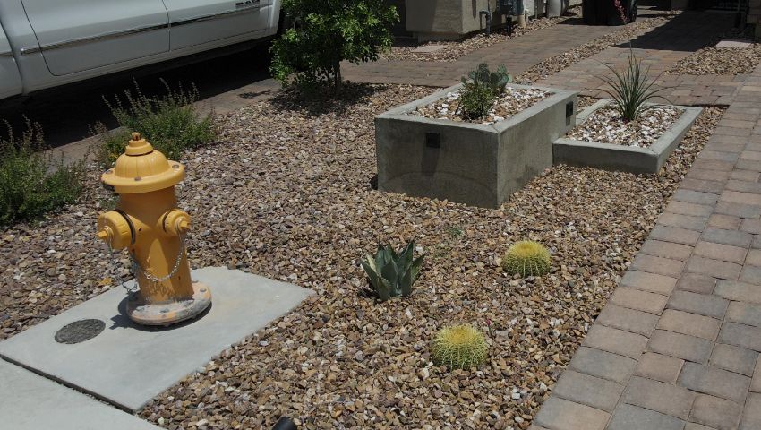 Guide To Xeriscape Landscaping & Design