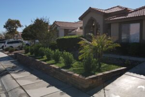 Residential Front Yard In Las Vegas