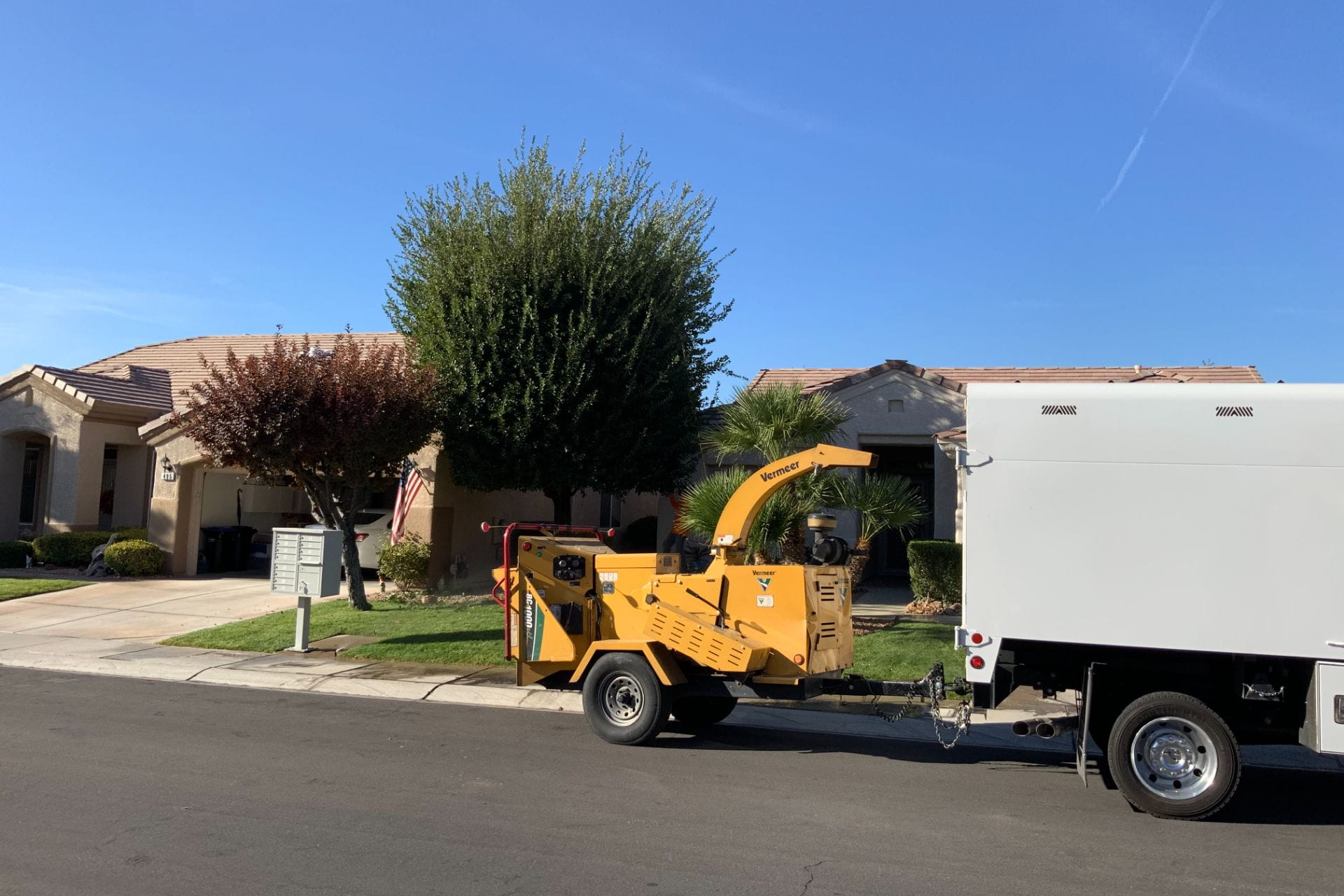 How Often Should You Trim Trees & When It Should Be Done