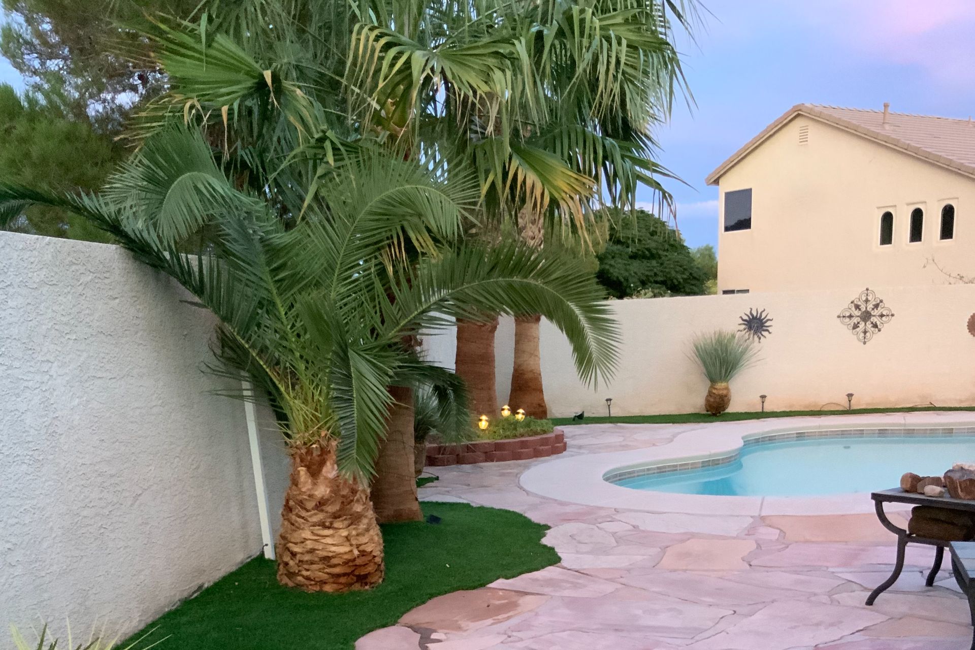 The Best 5 Trees To Plant Around Your Pool Landscape Design