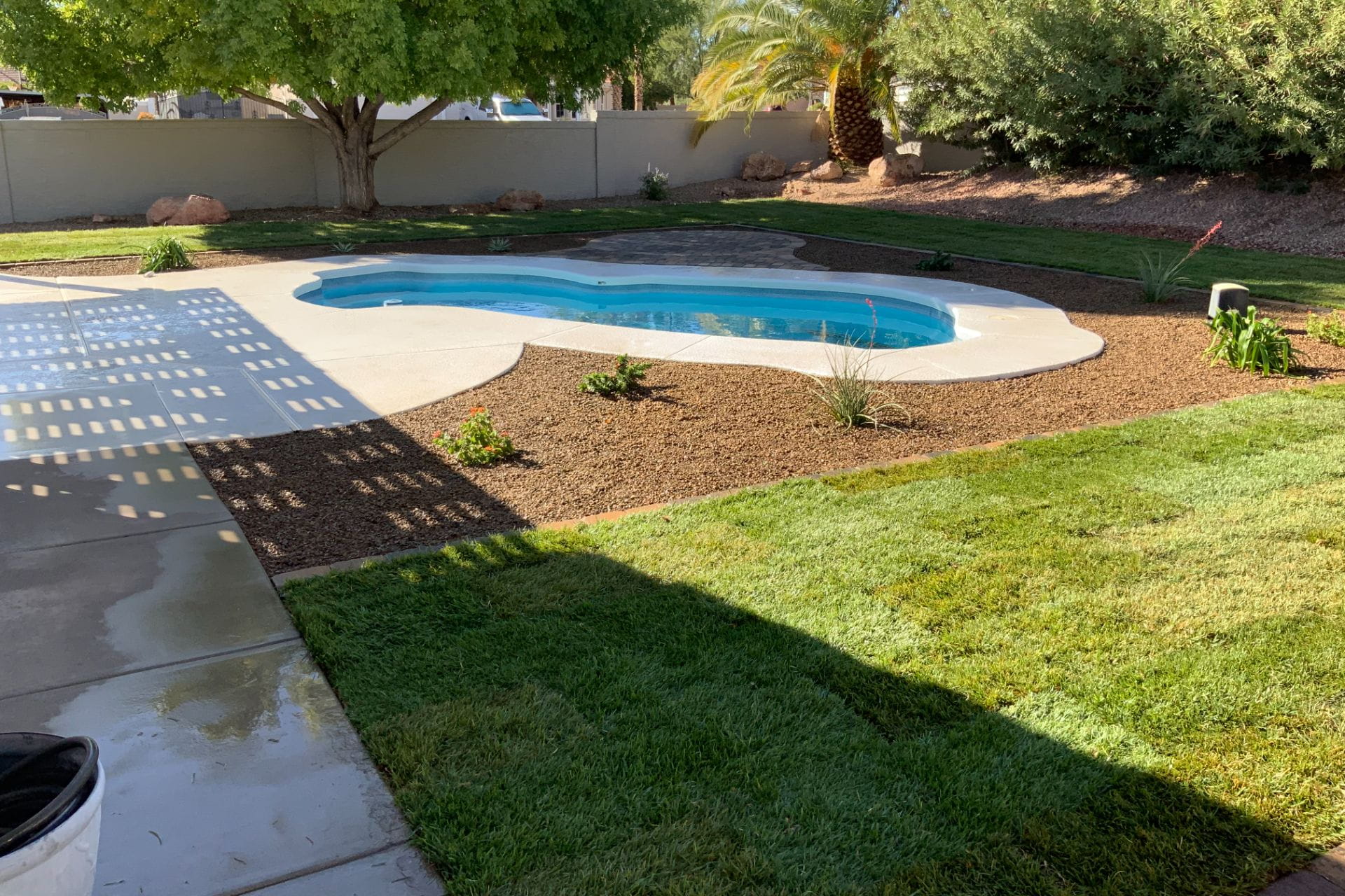 Types Of Grass Thrive In The Las Vegas Climate