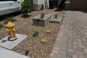 Guide To Xeriscape Landscaping And Design.